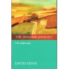 The Awesome Journey by David Adam